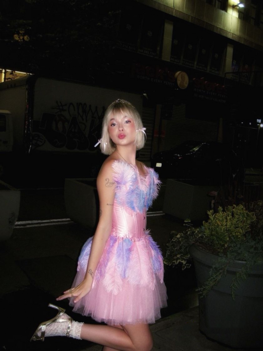 Pretty Pink Strapless Tulle Feathers A Line Short Graduation Homecoming Dress 15th Birthday Outfits Y9214