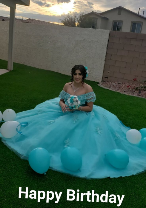 Off The Shoulder Lace Tulle Ball Gown Princess Dress Y3087