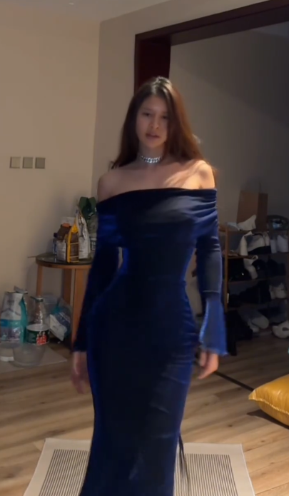 Chic Royal Blue Off The Shoulder Sheath Long Slit Prom Gown Evening Dress SP240
