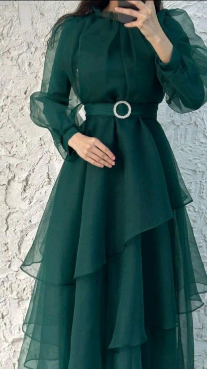 Charming A-line Long Sleeves Evening Dress Y5812