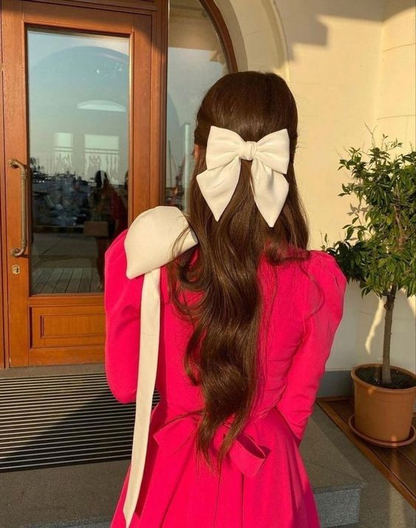 Hot Pink a line Party Prom Dresses with Bowknot  Y4851