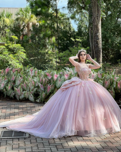 Glamorous Pink Sweet 16 Dress,Pink Ball Gown With Butterflies,Pink Tulle Princess Dress  Y2336