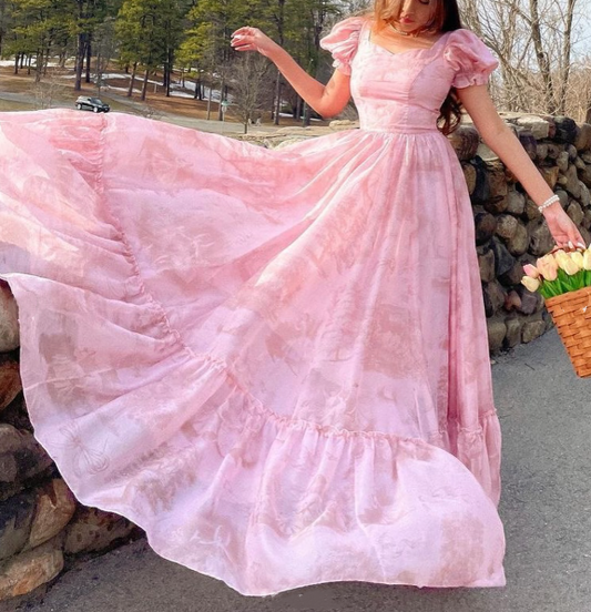 Elegant Pink Chiffon Printed Floral A Line Long Party Gown Prom Dress SP223