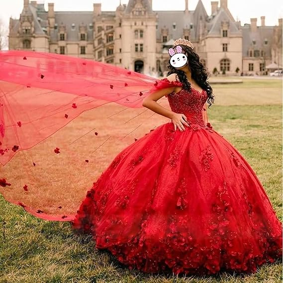 Pink Sweet 16 Dress,Pink Ball Gown With 3D Flowers,Pink Princess Dress  Y2337