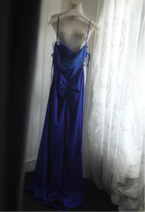 Sexy Spaghetti Straps Royal Blue Backless Satin Long Wedding Guest Dress Party Gown SP753