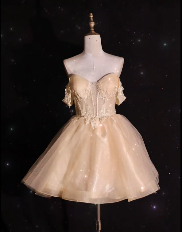 Elegant Champagne Off The Shoulder Tulle Appliques A Line 18th Birthday Outfits Short Homecoming Dress Y9133