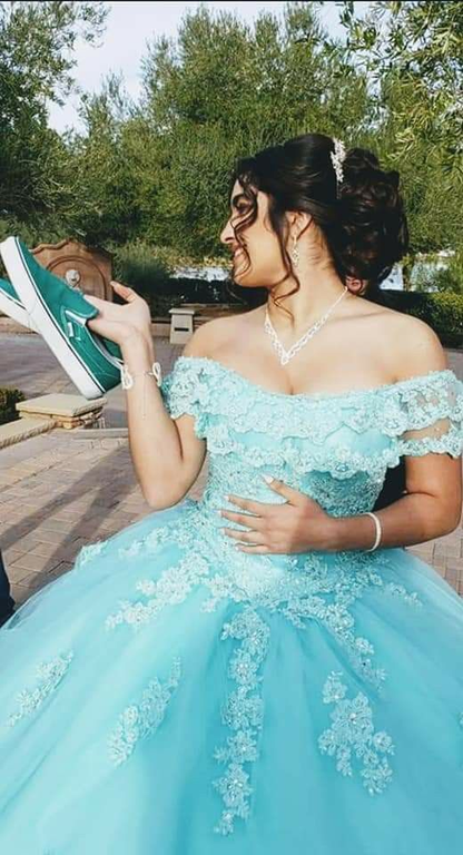 Off The Shoulder Lace Tulle Ball Gown Princess Dress Y3087