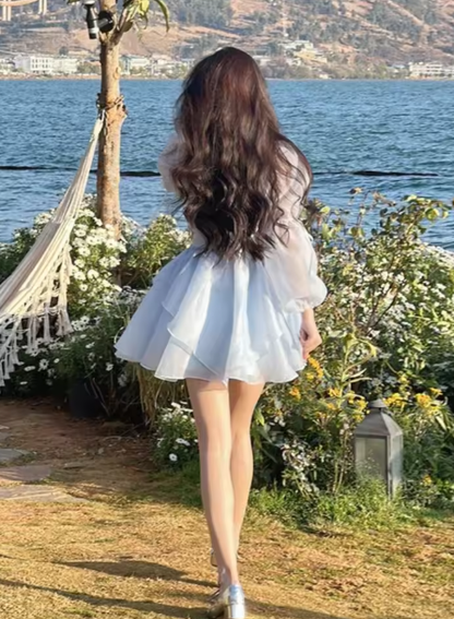 Blue A-line Princess Dress,Blue Long Sleeves Homecoming Dress,Blue Fairy Dress Y6083