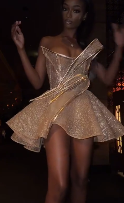 Sparkly Champagne Organza Sequin A Line Short 19th Birthday Outfits Formal Graduation Homecoming Dress Y9778