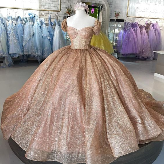 Rose Gold Sparkle Ball Gown Quinceanera Dress Sweet 16 Dress  Y693