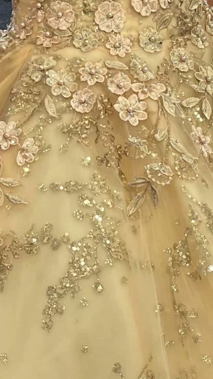 Luxurious Champagne V Neck Quinceanera Dress Princess Dress Champagne Ball Gown Y593